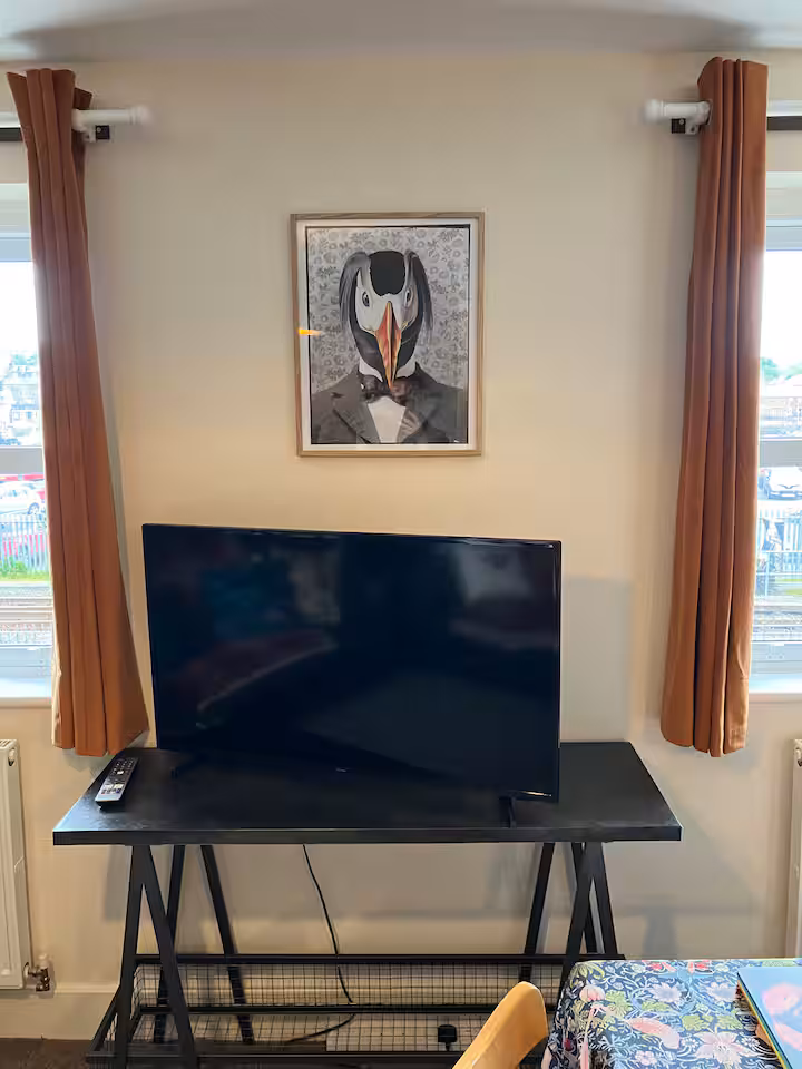 TV on a black trestle table beneath a framed puffin-in-a-suit print, with windows either side looking out over the railway line.
